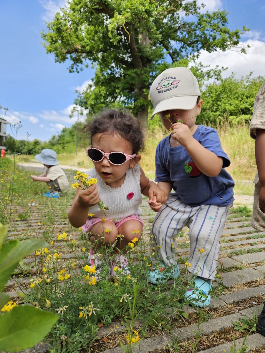Sortie nature, cueillette de fleurs